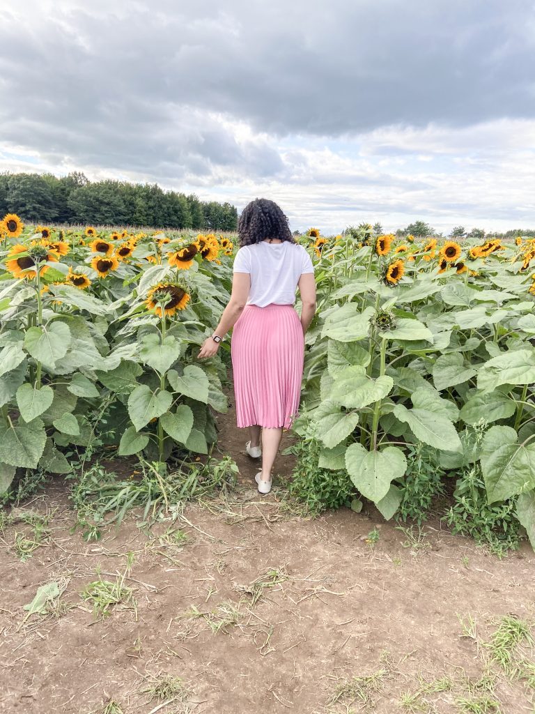 Teneisha Collins Sunflowers